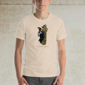 Ivory-billed Woodpecker T-Shirt