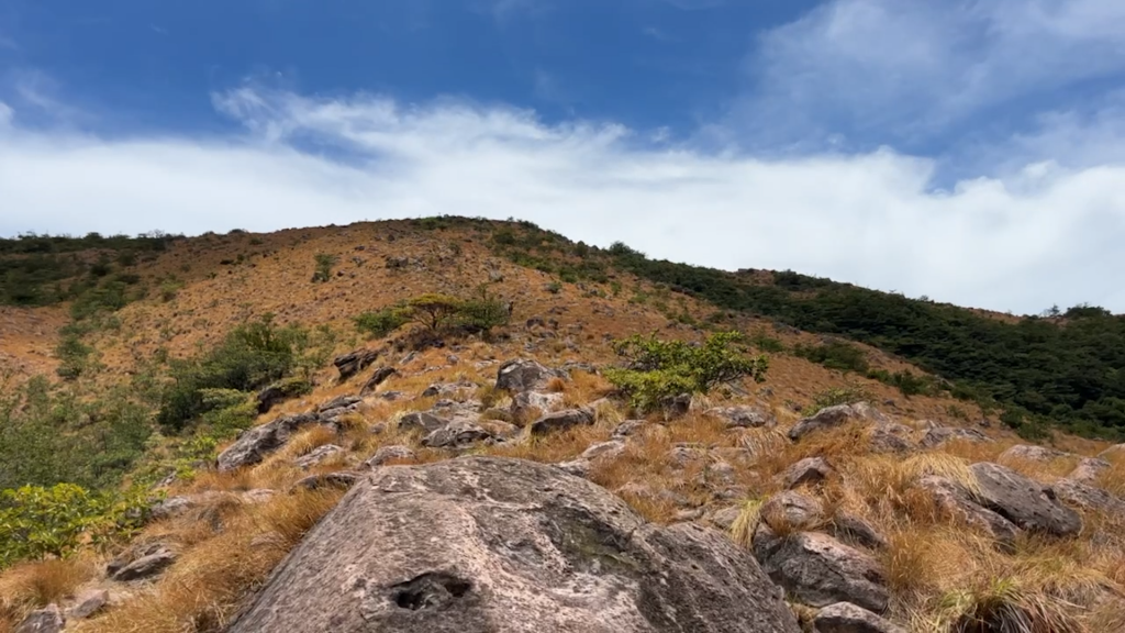 Insane Day of Birding at Rincon de La Vieja