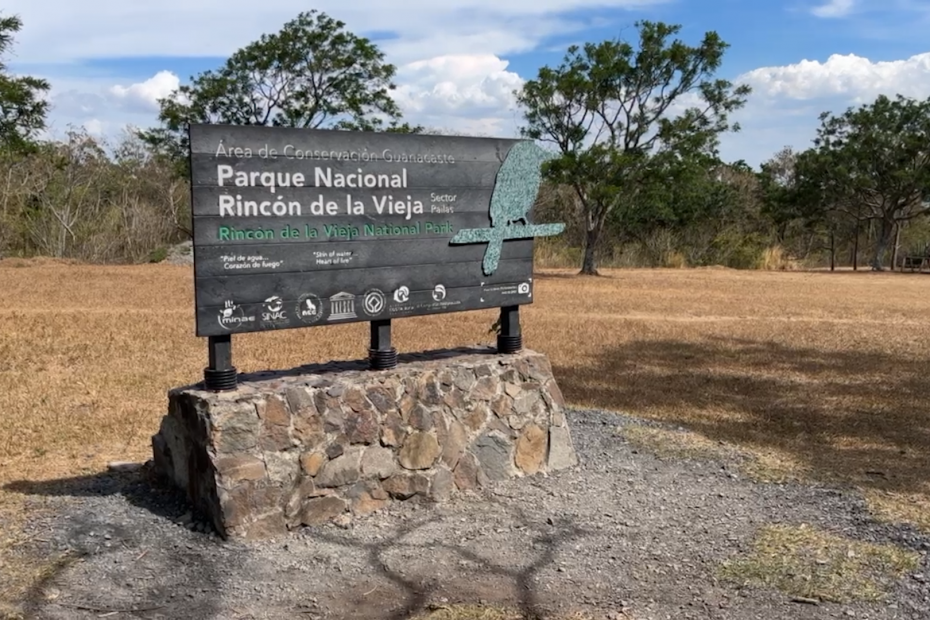 Insane Day of Birding at Rincon de La Vieja