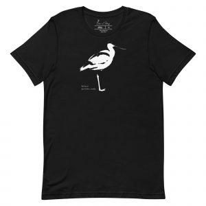 Avocet T-Shirt - Unisex
